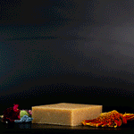 Soap & Shampoo Bar Bundle