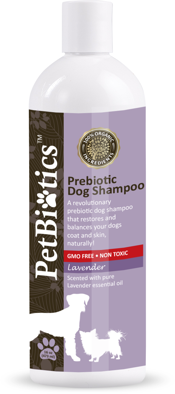 Petbiotics Prebiotic Lavender Dog Shampoo | Natural Dog Shampoo