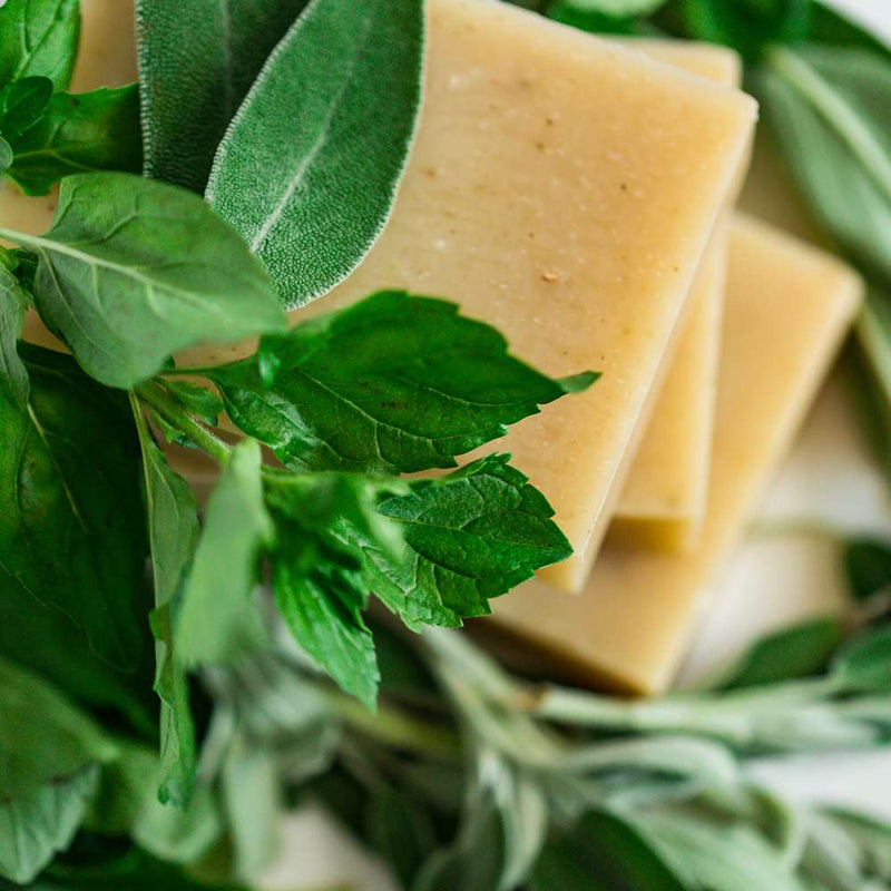 Natural Soap: Sage Mist