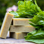 Natural Soap: Sweet Basil